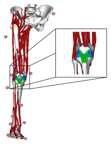 Details are in the caption following the image