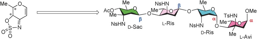3-Aminodeoxypyranoses in Glycosylation: Diversity-Oriented Synthesis and Assembly in Oligosaccharides