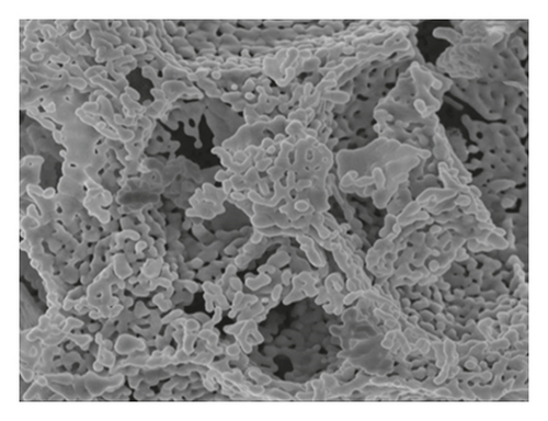 Details are in the caption following the image