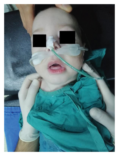 Details are in the caption following the image Details are in the caption following the image