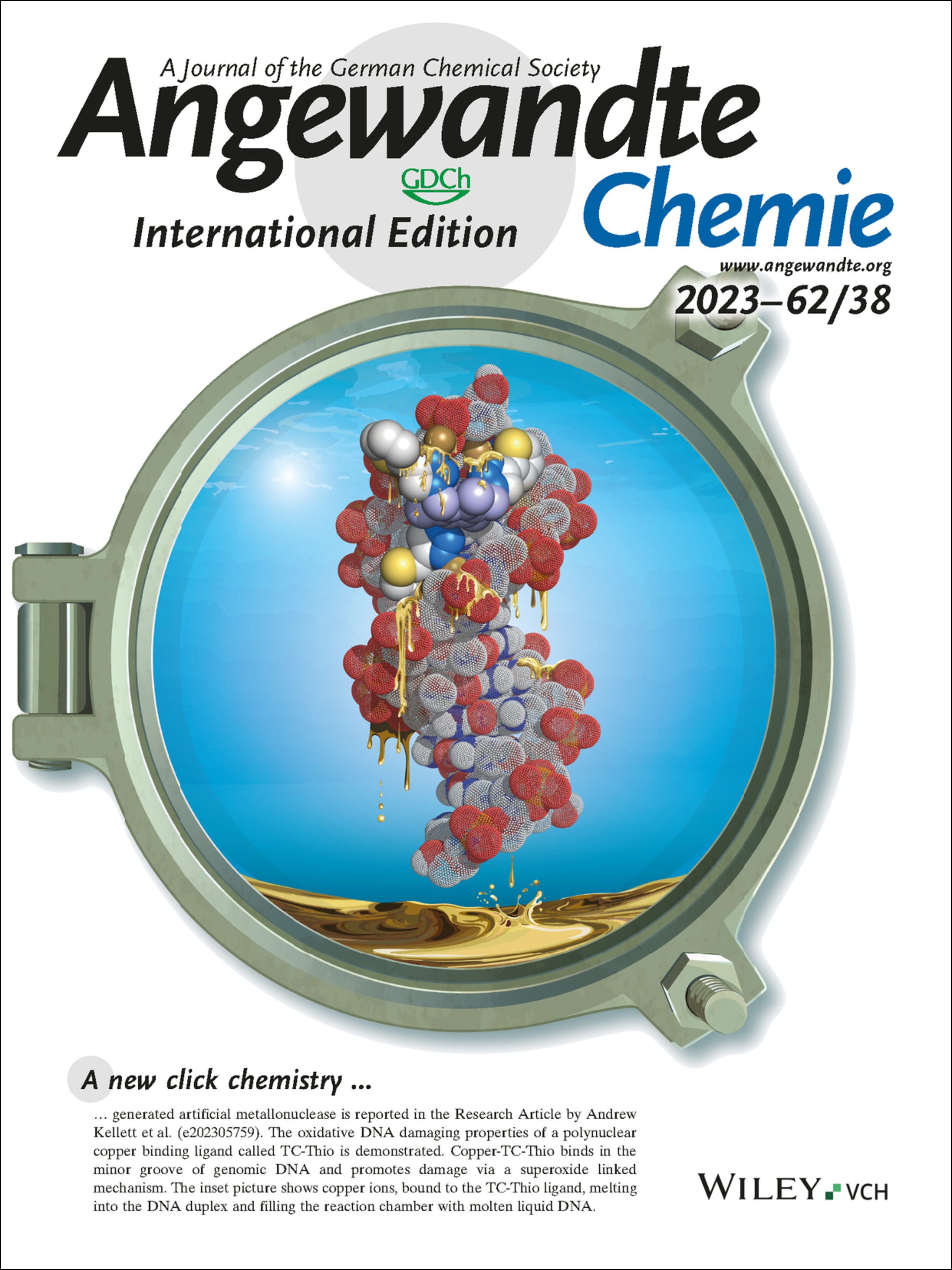 Back Cover: A Click Chemistry-Based Artificial Metallo-Nuclease (Angew. Chem. Int. Ed. 38/2023) Volume 62 Issue 38, 2023