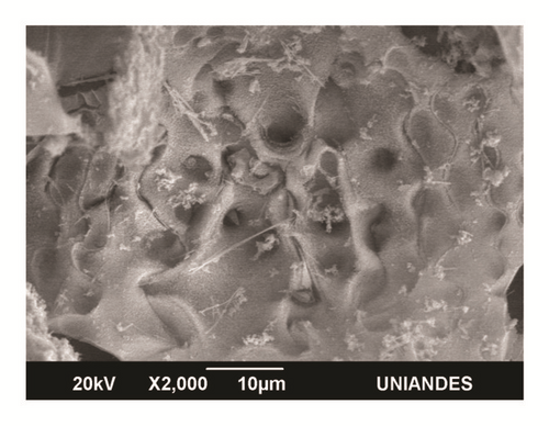 Details are in the caption following the image