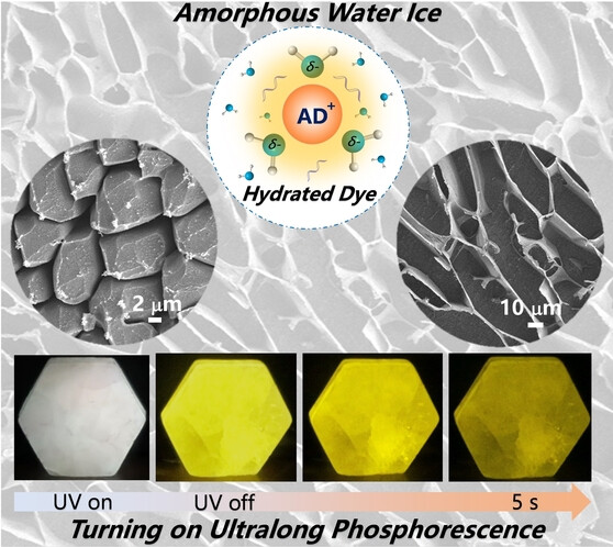 Water-Ice Microstructures and Hydration States of Acridinium Iodide Studied by Phosphorescence Spectroscopy