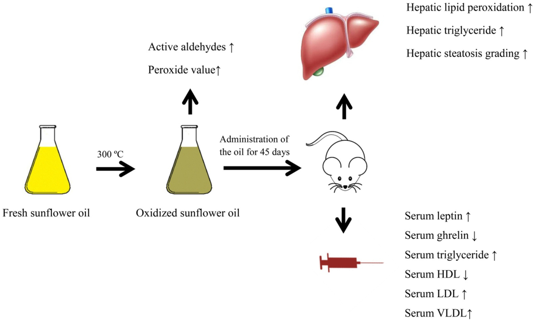 Thermally oxidized sunflower oil diet alters leptin/ghrelin balance and lipid profile in rats: Possible role of reactive aldehydes in dyslipidemia