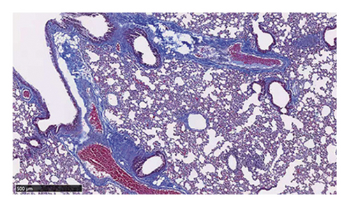 Details are in the caption following the image