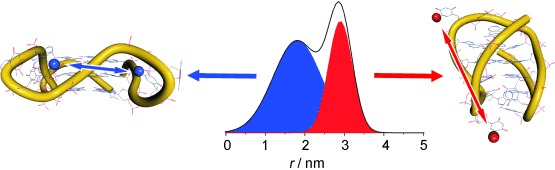 Human Telomeric Quadruplex Conformations Studied by Pulsed EPR