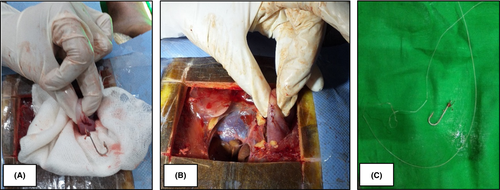 Details are in the caption following the image Details are in the caption following the image