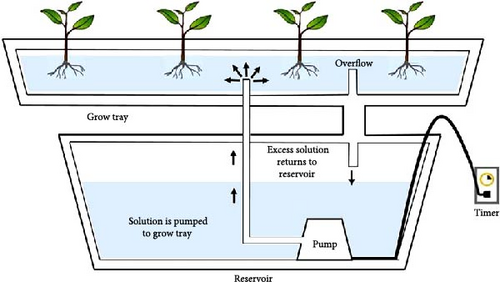 Details are in the caption following the image Details are in the caption following the image
