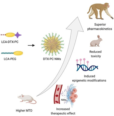 Bile Acid Tethered Docetaxel-Based Nanomicelles Mitigate Tumor Progression through Epigenetic Changes