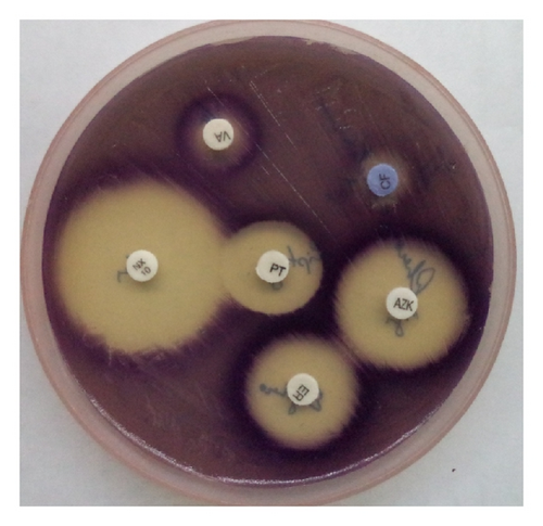 Details are in the caption following the image