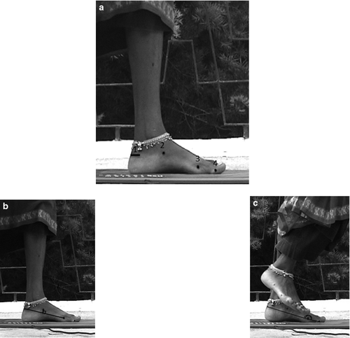 Details are in the caption following the image