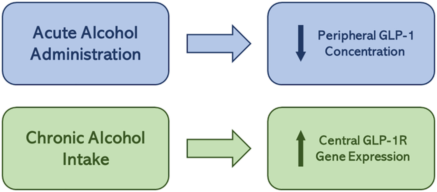 The glucagon-like peptide-1 system is modulated by acute and chronic alcohol exposure: Findings from human laboratory experiments and a post-mortem brain study