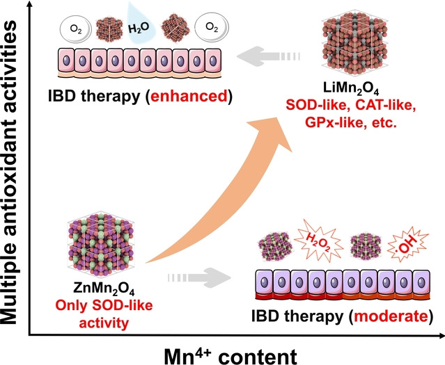 A Valence-Engineered Self-Cascading Antioxidant Nanozyme for the Therapy of Inflammatory Bowel Disease