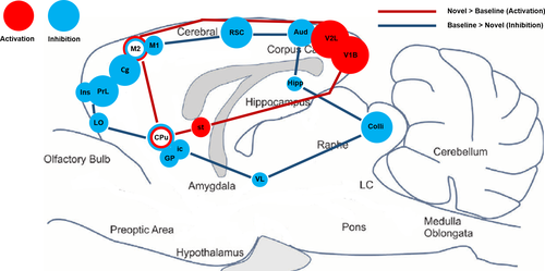Details are in the caption following the image Details are in the caption following the image