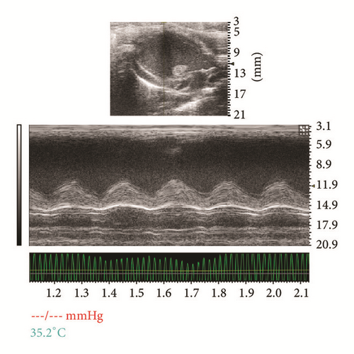 Details are in the caption following the image Details are in the caption following the image