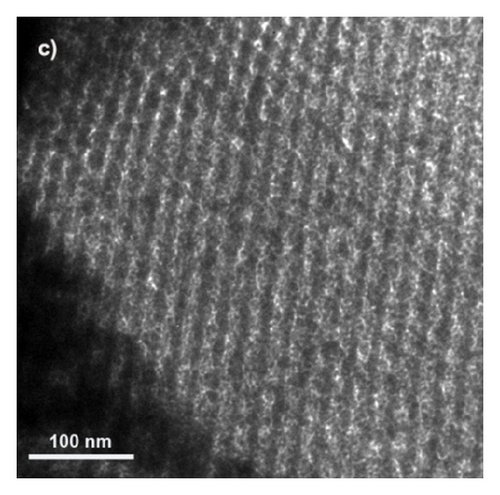Details are in the caption following the image Details are in the caption following the image