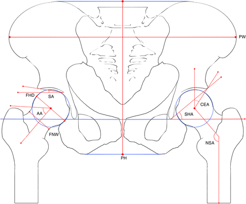 Details are in the caption following the image Details are in the caption following the image