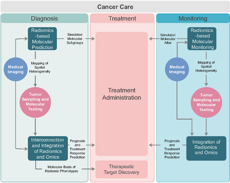 Radiogenomics: bridging the gap between imaging and genomics for precision oncology