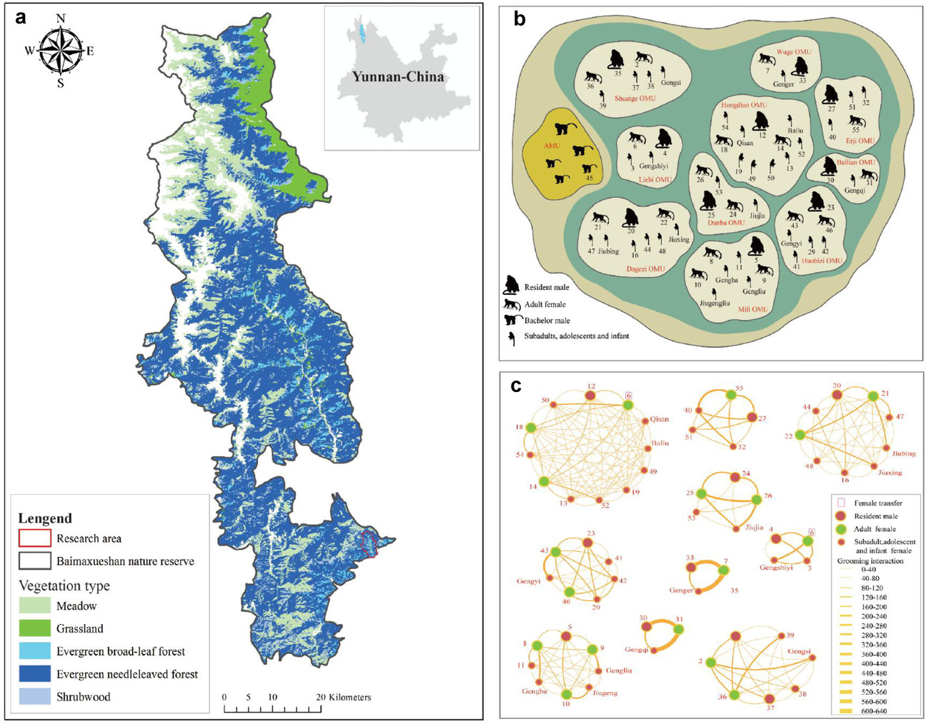 Invasion and defense of the basic social unit in a nonhuman primate society leads to sexual differences in the gut microbiome