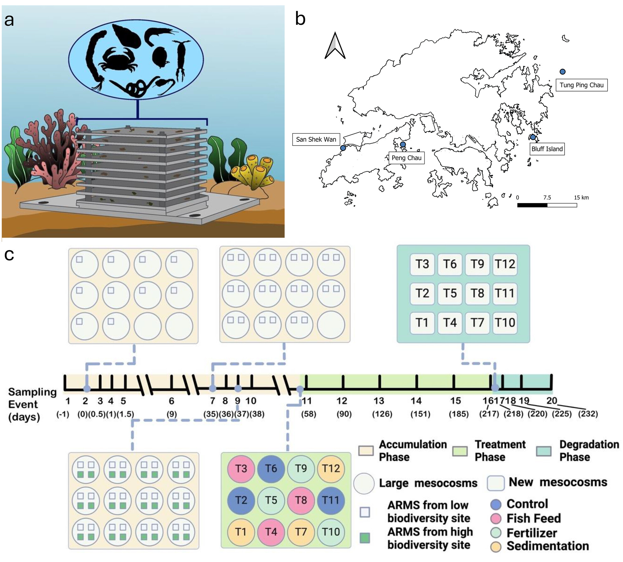 Quantifying the Temporal Dynamics of Marine Biodiversity Under Anthropogenic Impacts Using eDNA Metabarcoding