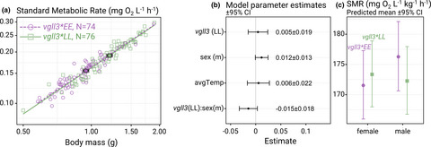 Standard metabolic rate does not associate with age-at-maturity genotype in juvenile Atlantic salmon
