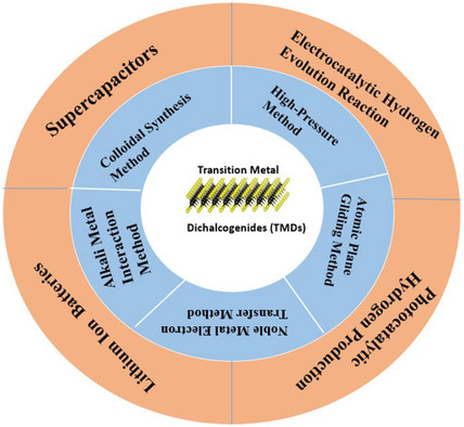 Transition Metal Dichalcogenides for Photo/Electrochemical Energy-Based Applications