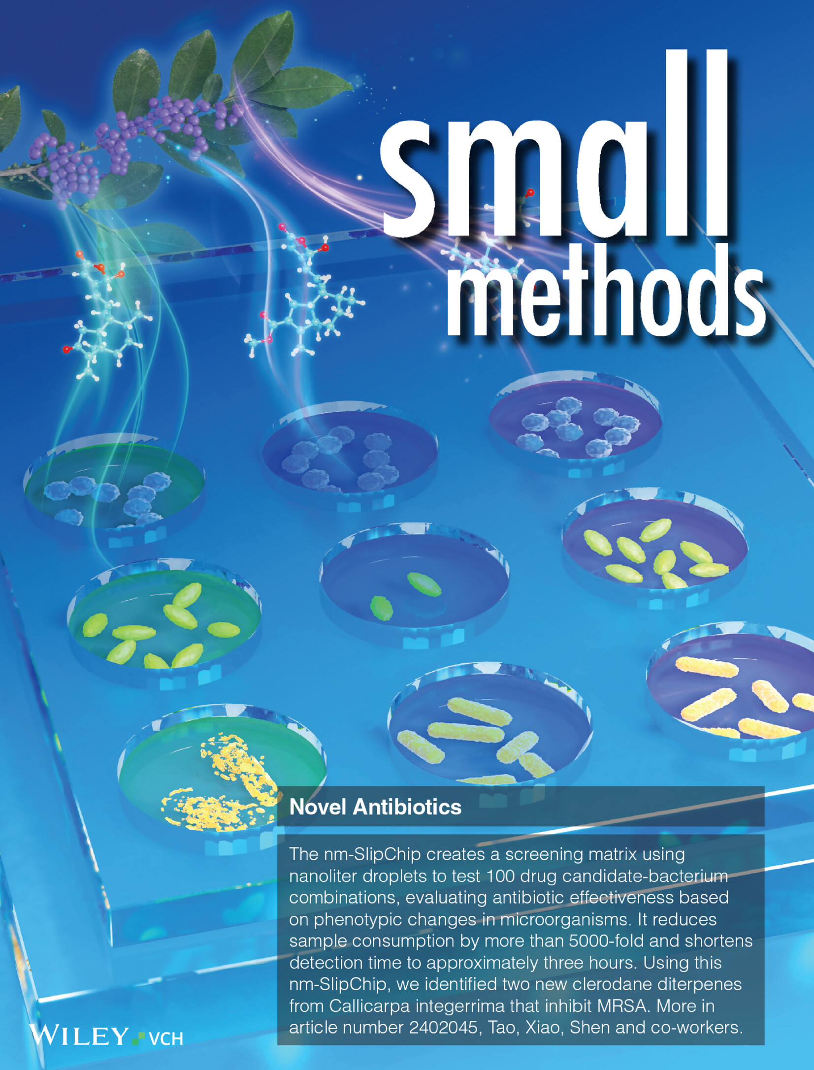 Rapid High-Throughput Discovery of Molecules With Antimicrobial Activity From Natural Products Enabled by a Nanoliter Matrix SlipChip (Small Methods 4/2025) Volume 9 Issue 4, 2025
