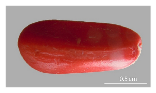 Details are in the caption following the image