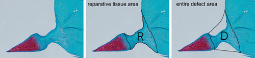 Details are in the caption following the image Details are in the caption following the image
