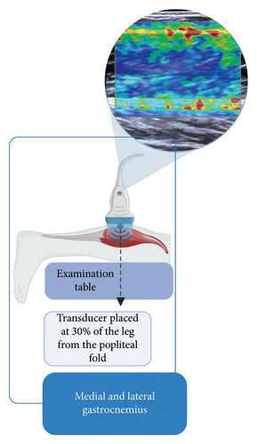 Details are in the caption following the image Details are in the caption following the image