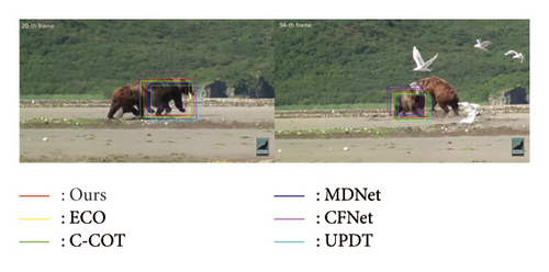 Details are in the caption following the image Details are in the caption following the image