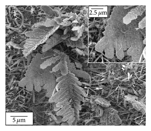 Details are in the caption following the image