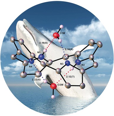 Stabilization and Structure of the cis Tautomer of a Free-Base Porphyrin