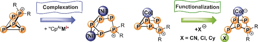 Functionalization of Pentaphosphorus Cations by Complexation