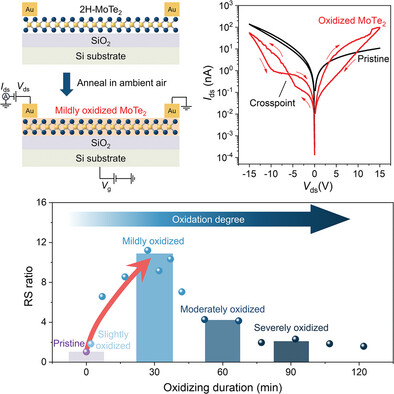 High-Performance 2D Ambipolar MoTe2 Lateral Memristors by Mild Oxidation