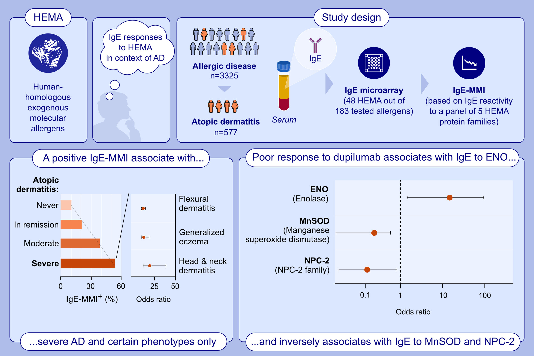 A microarray-based IgE-molecular mimicry index (IgE-MMI): A biomarker for disease severity, clinical phenotypes, and therapeutic response in atopic dermatitis?