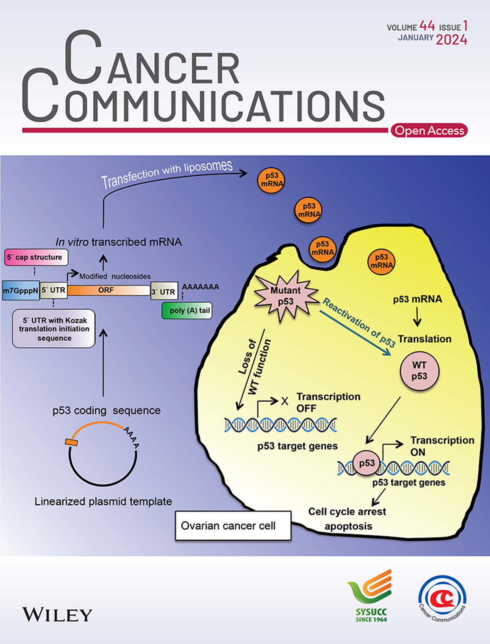Cover Image, Volume 44, Issue 1 Volume 44 Issue 1, 2024