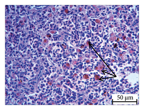 Details are in the caption following the image