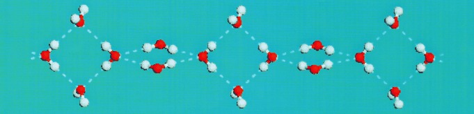 Structure of a Self-Assembled Chain of Water Molecules in a Crystal Host