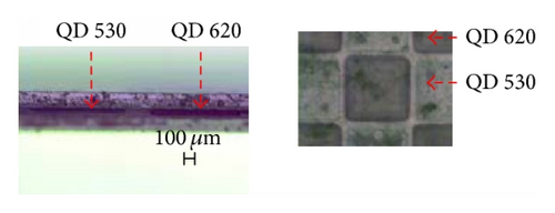 Details are in the caption following the image
