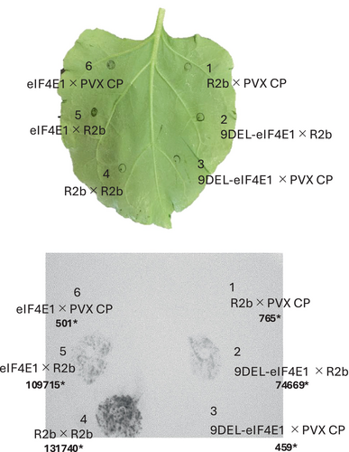 Details are in the caption following the image