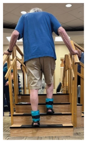 Details are in the caption following the image
