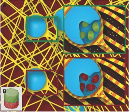 Multiscale Patterning of a Biomimetic Scaffold Integrated with Composite Microspheres
