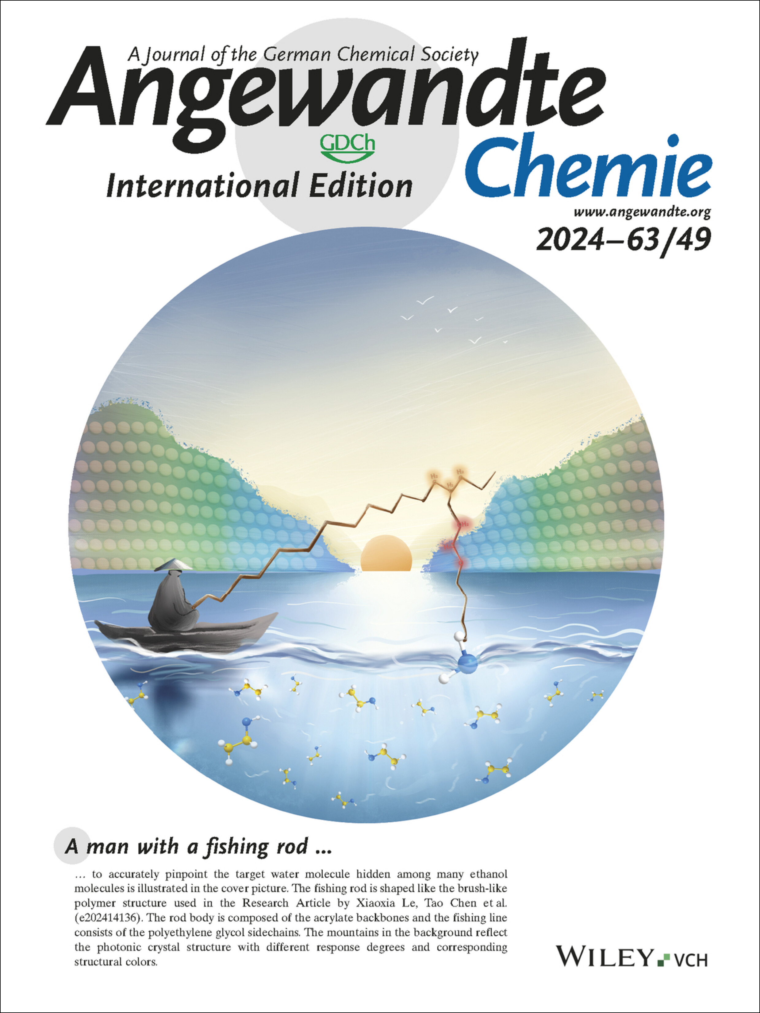 Back Cover: Brush-Like Polymeric Gels Enabled Photonic Crystals toward Ultrasensitive Cosolvent Chromism (Angew. Chem. Int. Ed. 49/2024) Volume 63 Issue 49, 2024