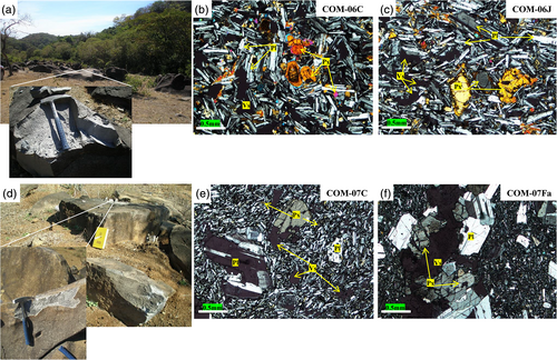 Details are in the caption following the image Details are in the caption following the image