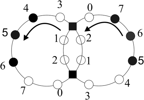 Details are in the caption following the image Details are in the caption following the image