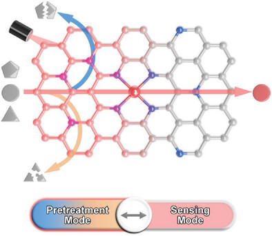 Photothermal-Switched Single-Atom Nanozyme Specificity for Pretreatment and Sensing