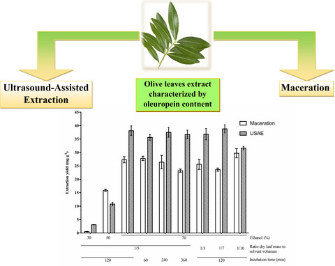 Enhanced yield of oleuropein from olive leaves using ultrasound-assisted extraction