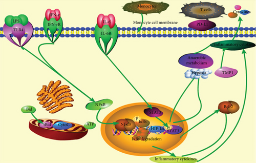 Details are in the caption following the image Details are in the caption following the image
