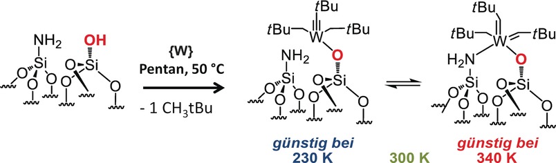 Tungsten(VI) Carbyne/Bis(carbene) Tautomerization Enabled by N-Donor SBA15 Surface Ligands: A Solid-State NMR and DFT Study